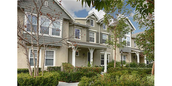 Ladera Ranch Terramor Branches