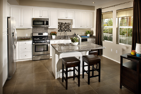 Colony Park Town House Kitchen