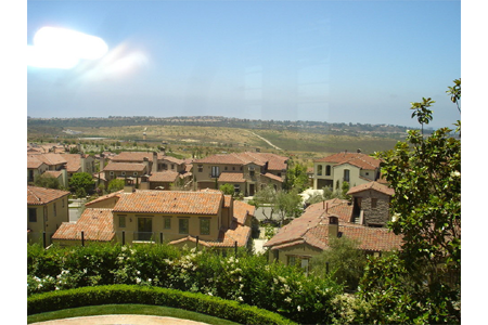 turtle ridge view