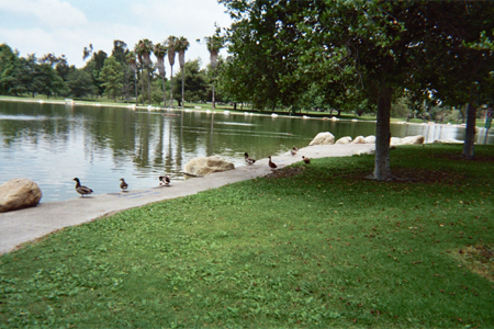 fountain valley mile square park2