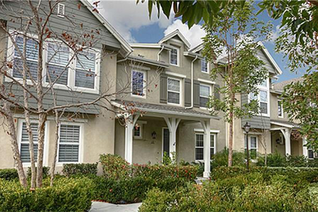 Ladera Ranch Terramor Branches